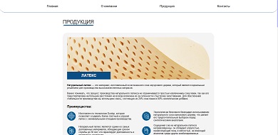 Project Image 1